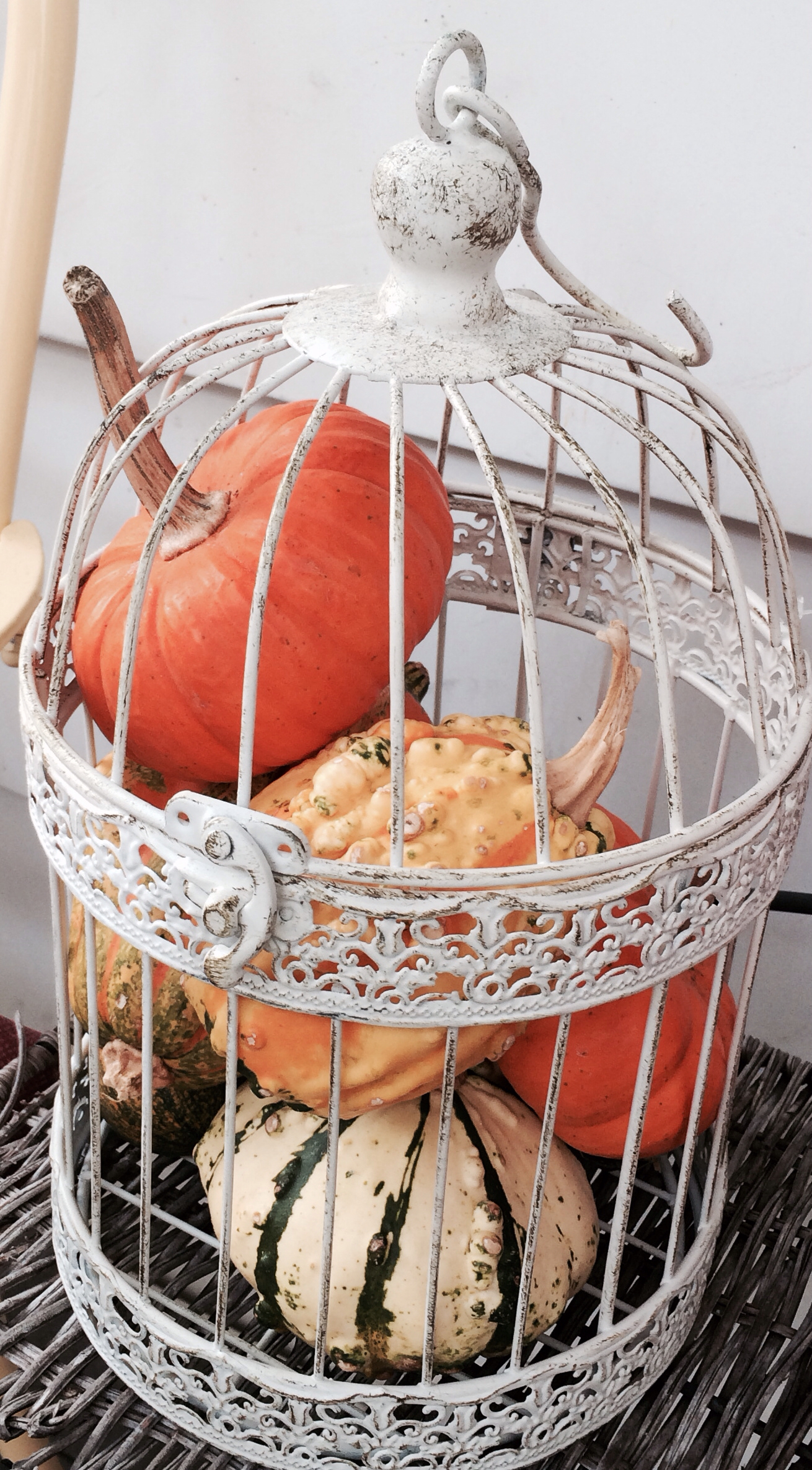 birdcage-filled-with-pumpkin-autumn-home-decor